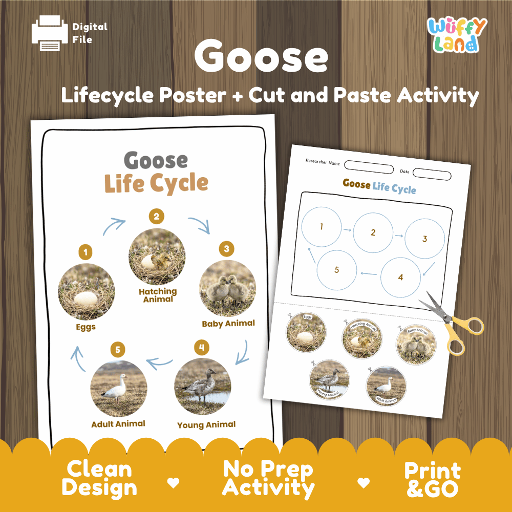Goose Life Cycle Poster and Cut and Paste Activity Worksheets