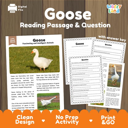 Goose Reading Passage and Comprehension Questions Worksheets