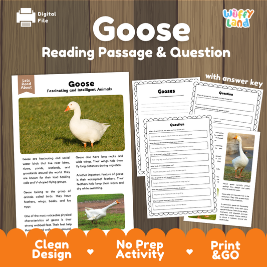 Goose Reading Passage and Comprehension Questions Worksheets