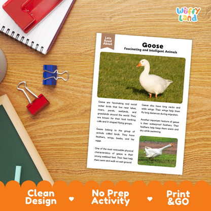 Goose Reading Passage and Comprehension Questions Worksheets