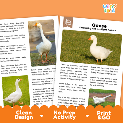 Goose Reading Passage and Comprehension Questions Worksheets