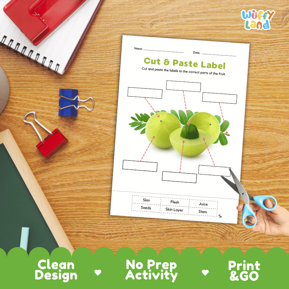 Differentiated gooseberry fruit labeling worksheets featuring write-in callout boxes and vocabulary word bank