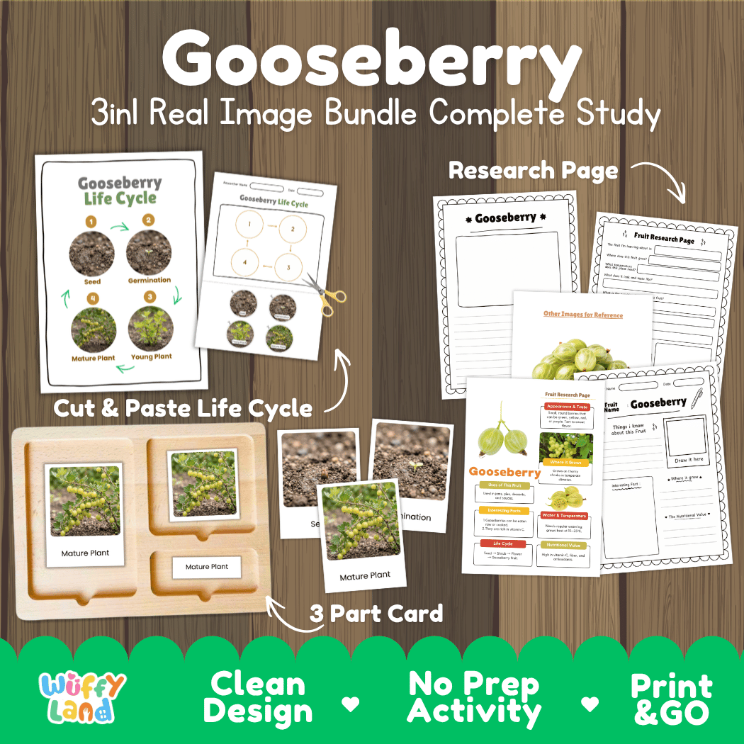Complete Gooseberry 3-in-1 real image study bundle featuring cut and paste worksheets, Montessori 3-part cards, and research pages 🍈🌱