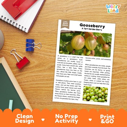 Student reading comprehension worksheet with short-answer questions and lined sections about gooseberries