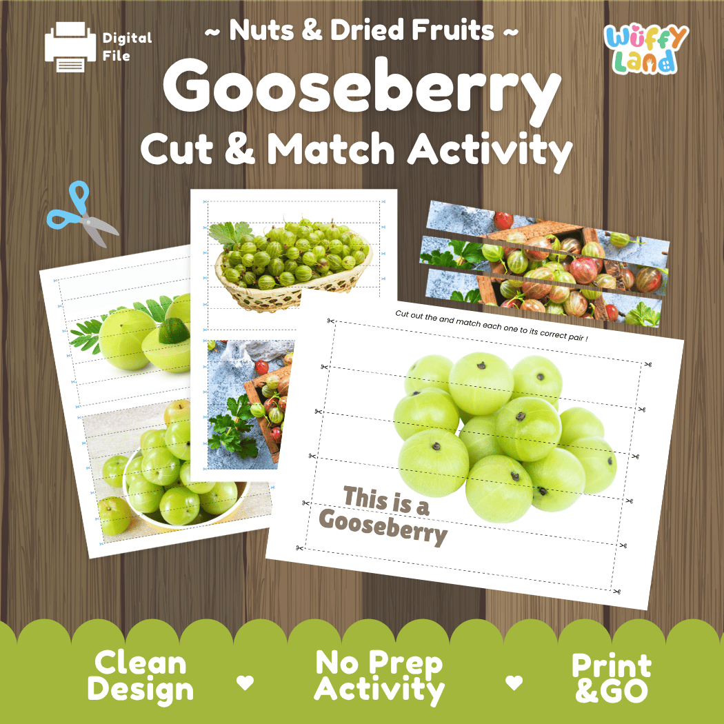 Gooseberry Cut and Match Activity Worksheets | Nuts and Dried Fruits Puzzle Printables