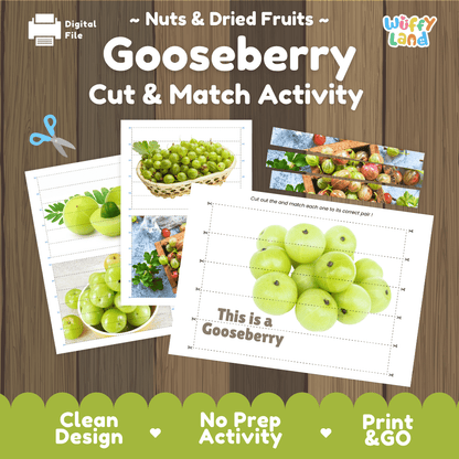 Gooseberry Cut and Match Activity Worksheets | Nuts and Dried Fruits Puzzle Printables