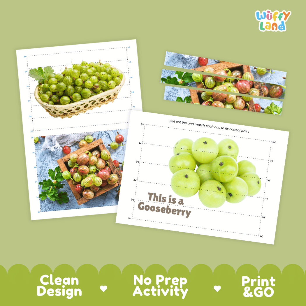 Gooseberry Cut and Match Activity Worksheets | Nuts and Dried Fruits Puzzle Printables