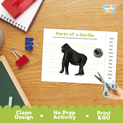 Differentiated gorilla body parts labeling worksheet featuring blank write-in boxes and vocabulary word bank