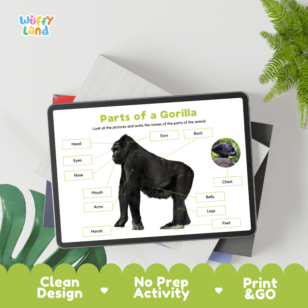 Hands-on cut and paste gorilla anatomy worksheet showing printable word tags, callout boxes, and scissors graphic