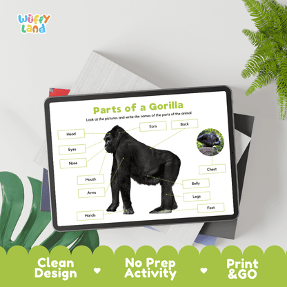 Hands-on cut and paste gorilla anatomy worksheet showing printable word tags, callout boxes, and scissors graphic