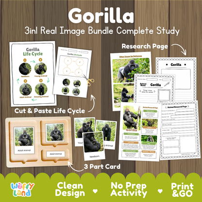 Gorilla 3-in-1 real image bundle complete study cover showing cut and paste life cycle, 3 part cards, and research pages