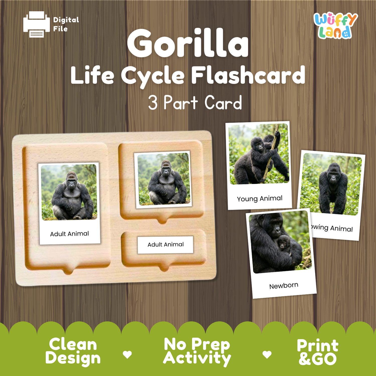 Gorilla Life Cycle Flashcard set by Wiffy Land, featuring a 3-part wooden card tray with photos of gorilla life stages and sample flashcards, shown on a wood-textured background with promotional text.