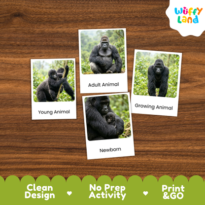 Four educational animal identification cards featuring gorillas, arranged on a brown wood-grain background. The cards are labeled 'Young Animal', 'Adult Animal', 'Growing Animal', and 'Newborn'.