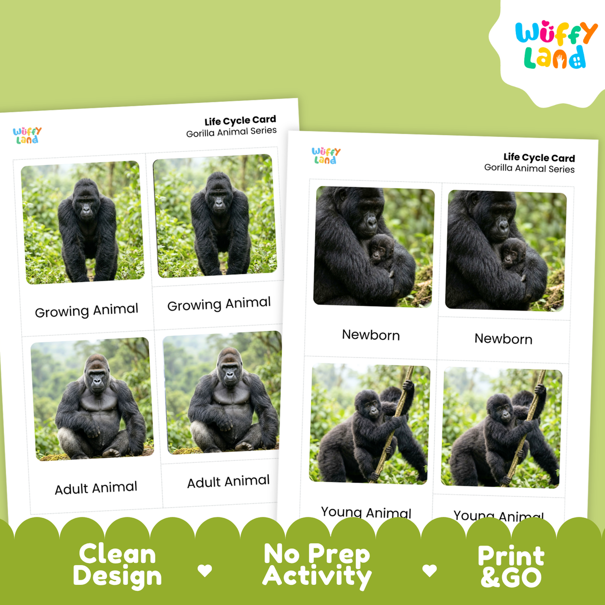 Two printable gorilla life cycle cards shown on a light green background with a white and green branded header. The cards feature labeled photos of gorillas at different stages: newborn, young animal, adult animal, and growing animal.