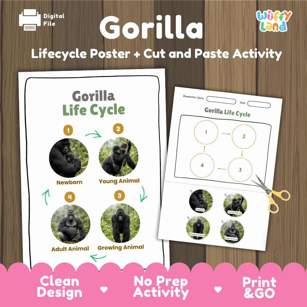 Gorilla Life Cycle Poster and Cut and Paste Activity Worksheets