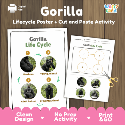 Gorilla Life Cycle Poster and Cut and Paste Activity Worksheets