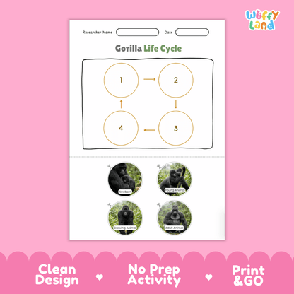 Gorilla Life Cycle Poster and Cut and Paste Activity Worksheets