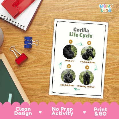 Gorilla Life Cycle Poster and Cut and Paste Activity Worksheets