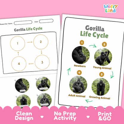 Gorilla Life Cycle Poster and Cut and Paste Activity Worksheets