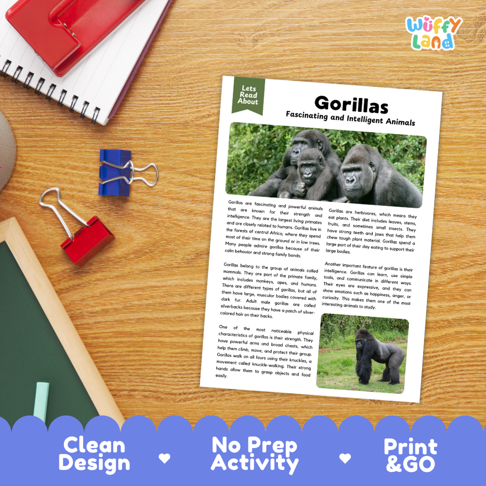 An educational activity sheet titled 'Gorillas Fascinating and Intelligent Animals' displayed on a wooden desk with a spiral notebook, binder clips, and a pen. The sheet features text and photos of gorillas, with a blue banner at the bottom reading 'Clean Design', 'No Prep Activity', and 'Print & GO'.
