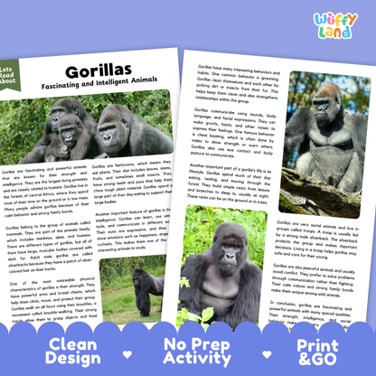 Gorillas Reading Passage and Comprehension Questions Worksheets with Answer Key