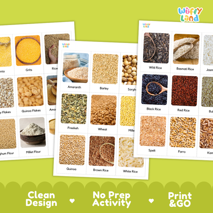 Grains Flashcards