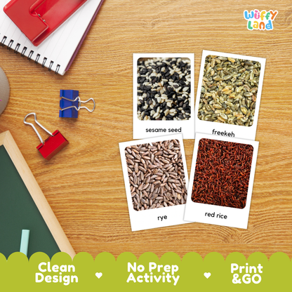 Grains Flashcards
