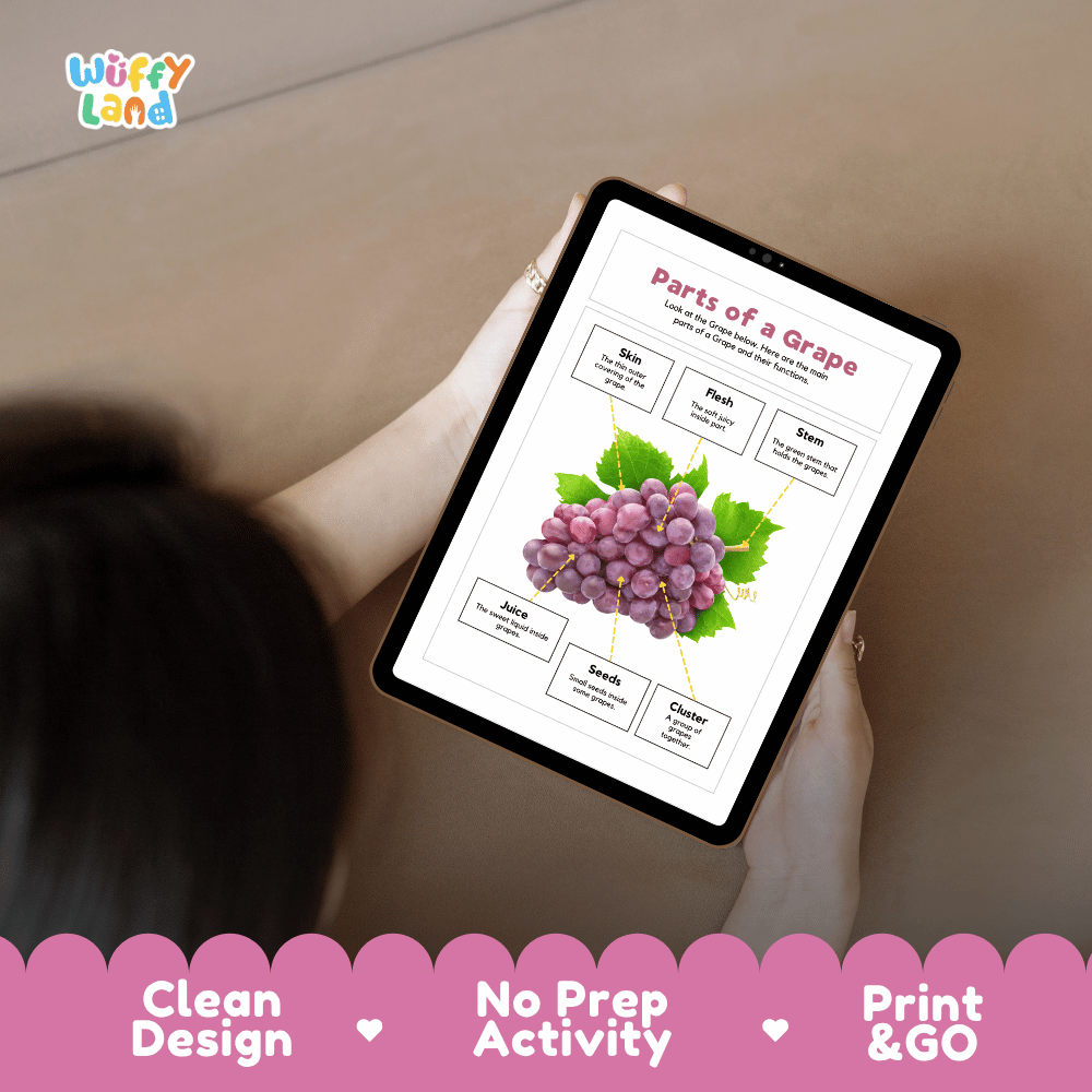 Educational cut and paste grape fruit anatomy worksheet with printable word cutout tiles for skin, stem, cluster, flesh, juice, and seeds