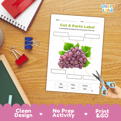 Printable plant biology worksheet showing a realistic bunch of purple grapes with blank labeling boxes and a vocabulary word bank for writing practice