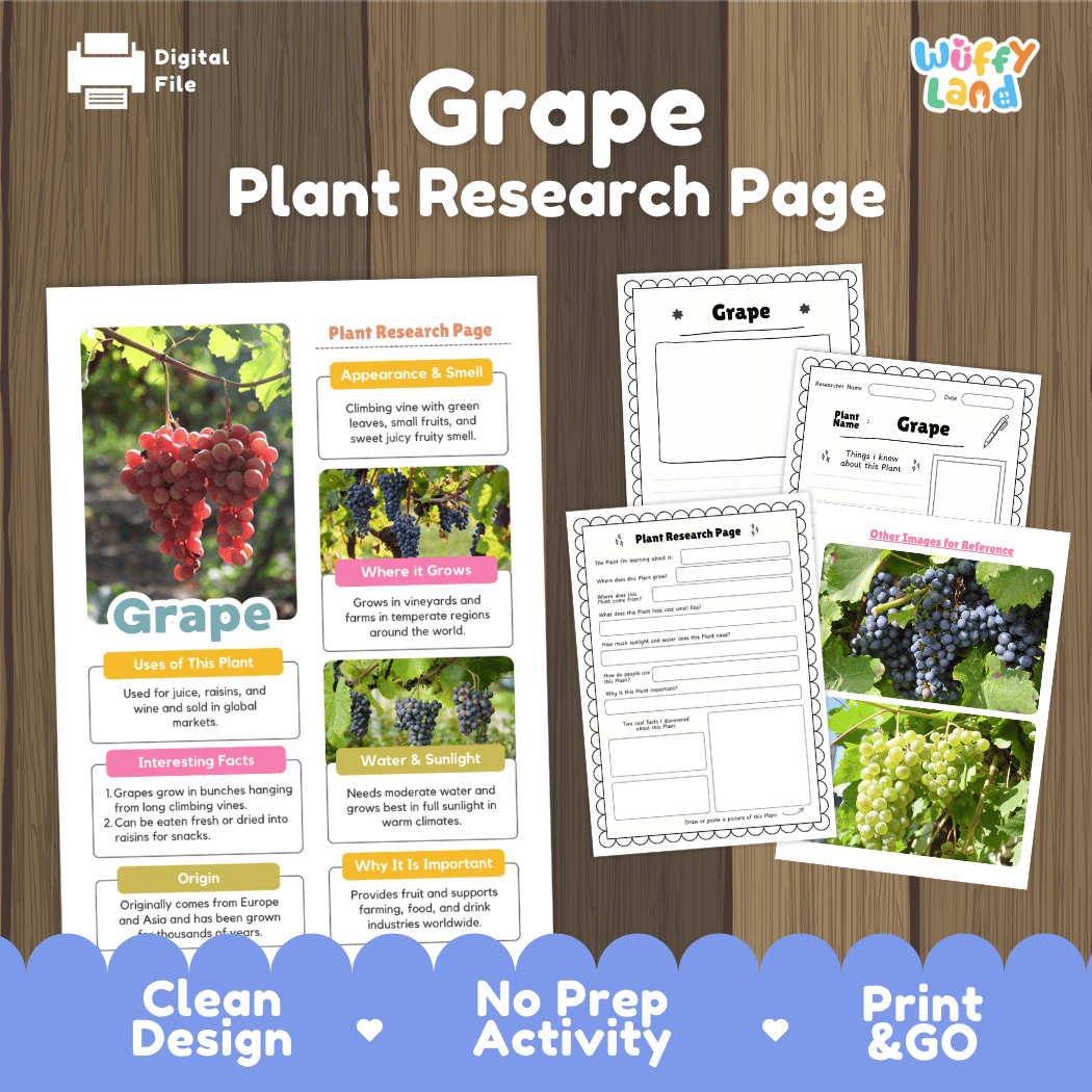Grape Plant Research Page Worksheets and Fact Sheet