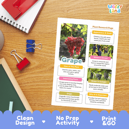 Grape Plant Research Page Worksheets and Fact Sheet