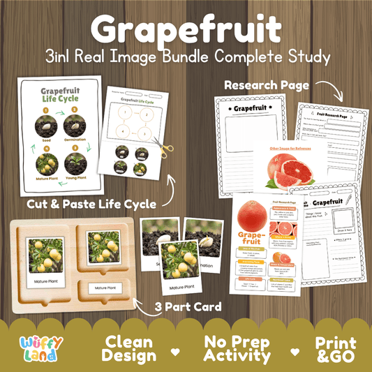 Complete Grapefruit 3-in-1 real image study bundle featuring cut and paste worksheets, Montessori 3-part cards, and research pages 🍊🌱