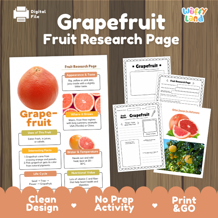 Grapefruit Fruit Research Page Worksheets and Fact Sheet