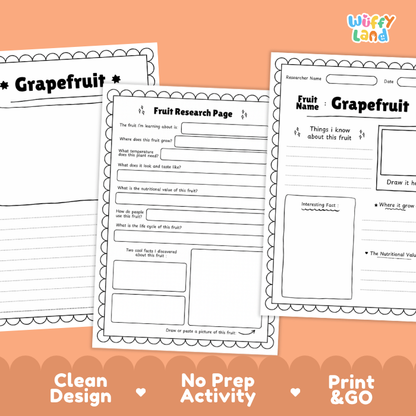 Grapefruit Fruit Research Page Worksheets and Fact Sheet