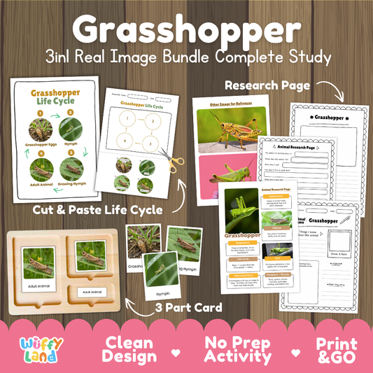Grasshopper 3-in-1 real image bundle complete study cover showing cut and paste life cycle, 3 part cards, and research pages