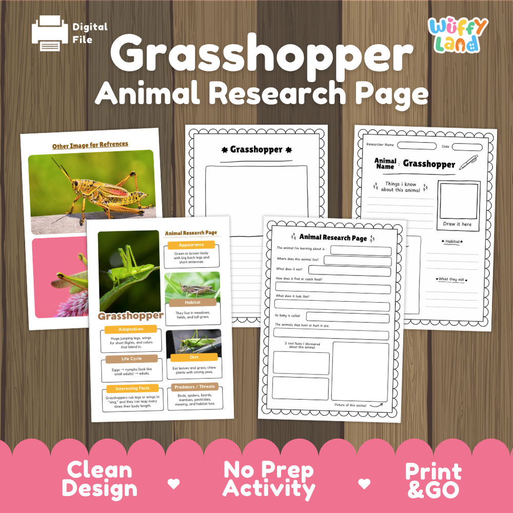 Grasshopper Animal Research Page Worksheets