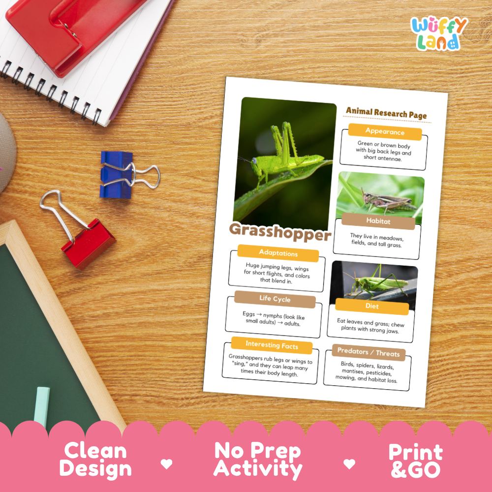 Grasshopper Animal Research Page Worksheets