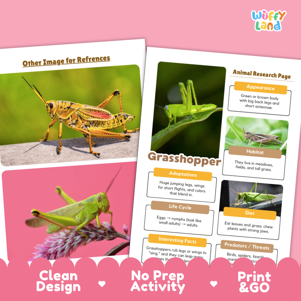 Educational grasshopper activity booklet pages displayed on a pink background, featuring a large grasshopper photo, an animal research page layout, and text callouts including 'Other Image for References,' 'Clean Design,' 'No Prep Activity,' and 'Print & GO.' The brand name 'Wiffy Land' appears in the top right.