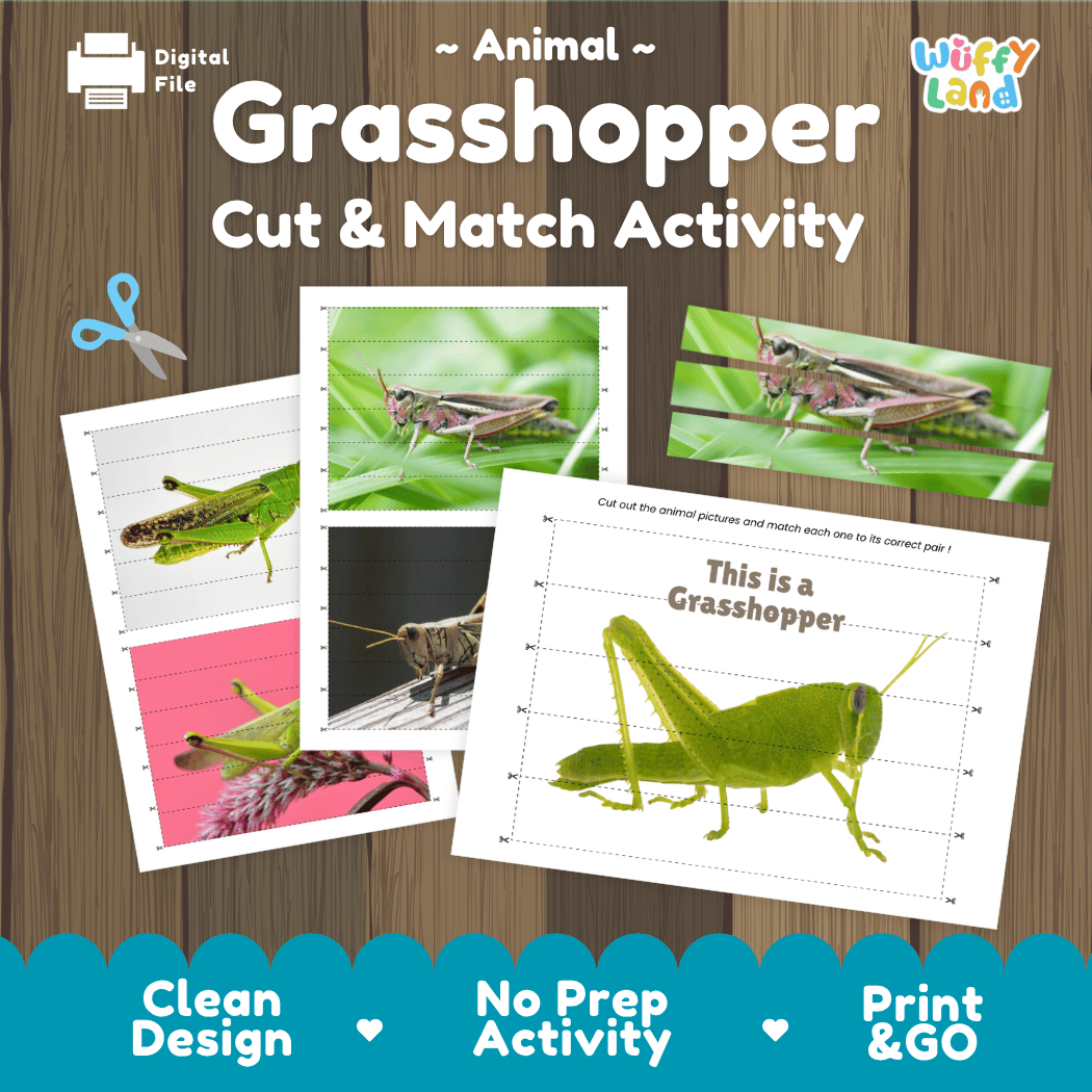 Grasshopper Cut and Match Activity Printables Worksheets