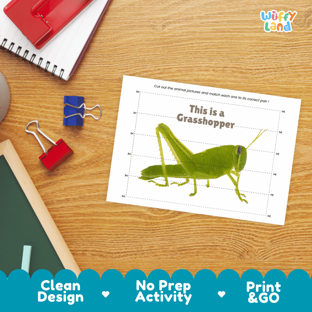Grasshopper Cut and Match Activity Printables Worksheets