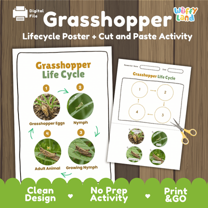 Grasshopper Life Cycle Poster and Cut and Paste Activity Worksheets