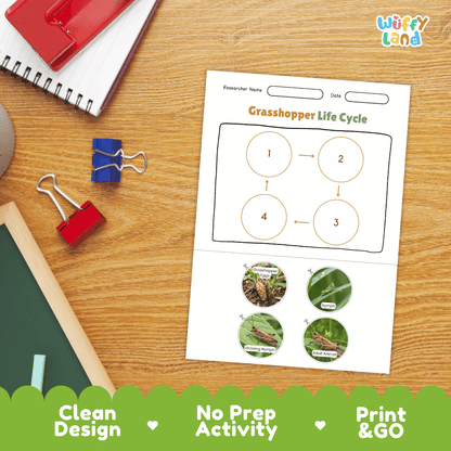 Grasshopper Life Cycle Poster and Cut and Paste Activity Worksheets