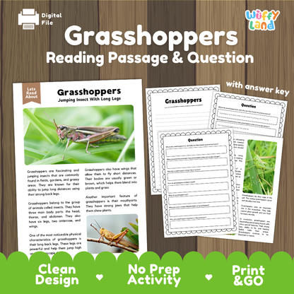 Grasshoppers Reading Passage and Comprehension Questions Worksheets