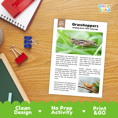 Grasshoppers Reading Passage and Comprehension Questions Worksheets