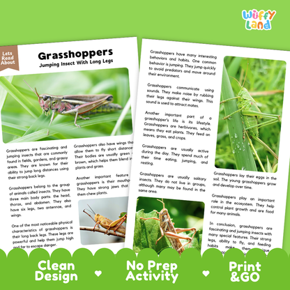 An educational activity sheet titled 'Grasshoppers Jumping Insect With Long Legs' from the brand 'Wuffi Land'. The page features a green border, black text, and illustrations of grasshoppers, along with three heart-shaped badges at the bottom reading 'Clean Design', 'No Prep Activity', and 'Print & Go'.