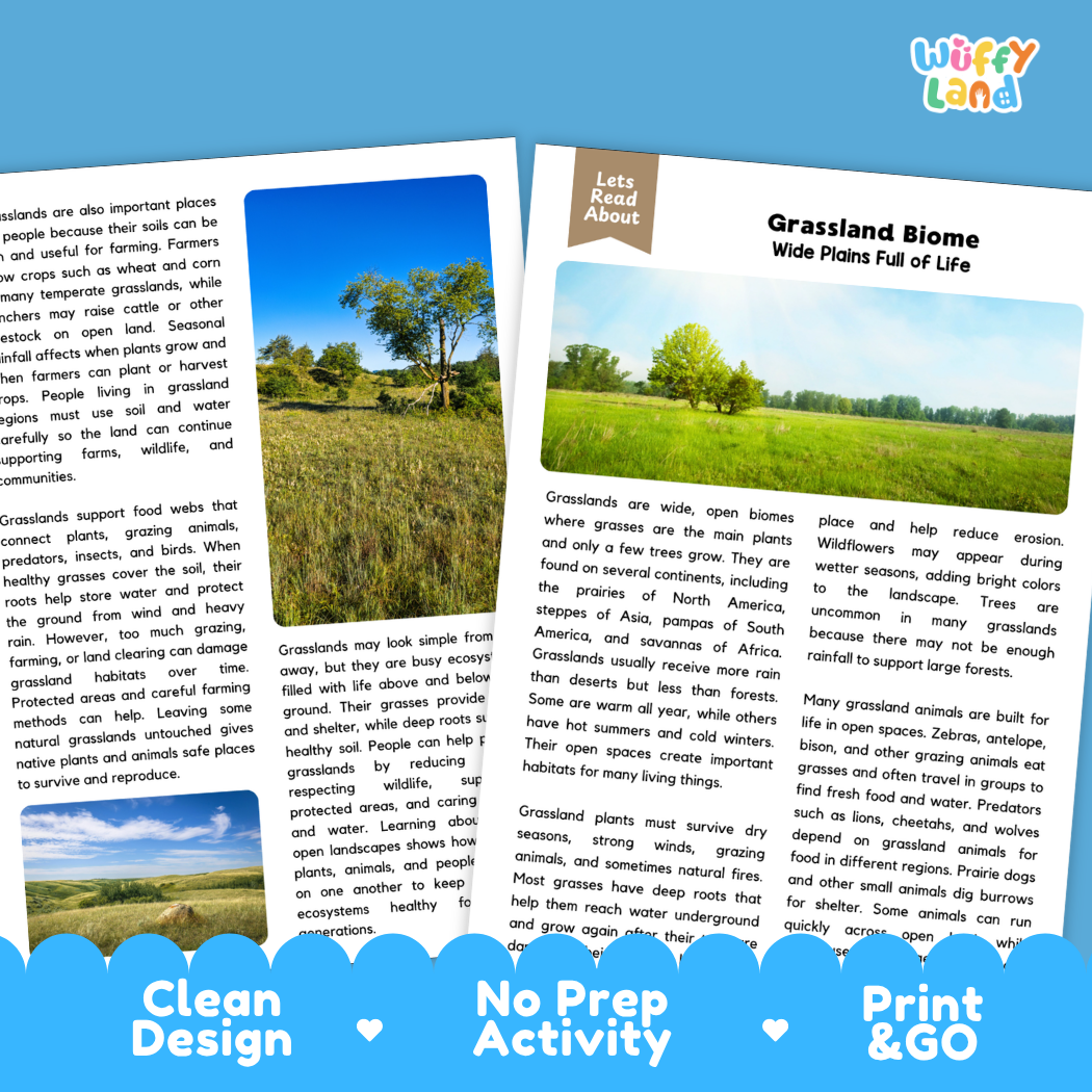 Teacher answer key page showing complete question solutions for Grassland Biome Earth science and biology reading comprehension practice