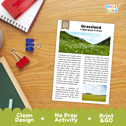 Student reading comprehension worksheet with short-answer questions and handwriting lines about grasslands