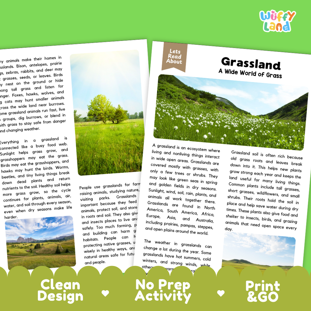 Teacher answer key page showing complete question solutions for grassland reading comprehension practice