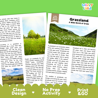 Teacher answer key page showing complete question solutions for grassland reading comprehension practice