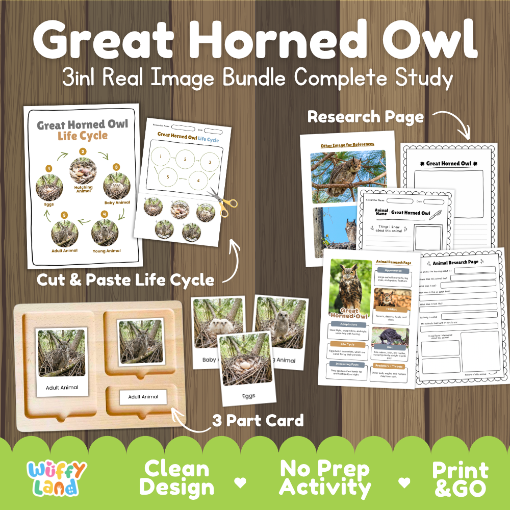Great horned owl 3-in-1 real image bundle complete study cover showing cut and paste life cycle, 3 part cards, and research pages